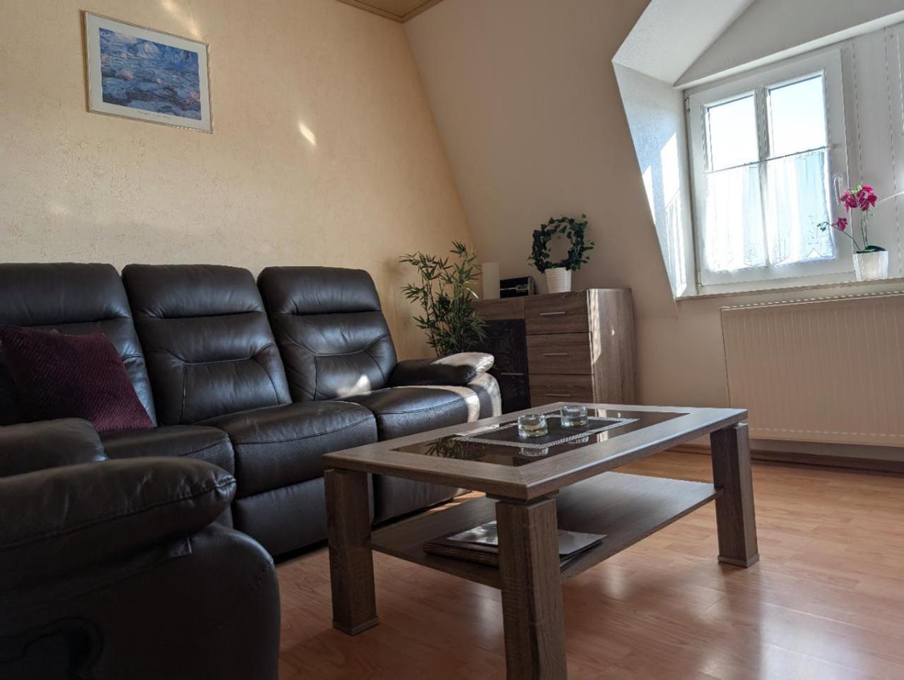 Ambiente-An-Der-Elbe-Wohnung-Og Dresden Exterior foto